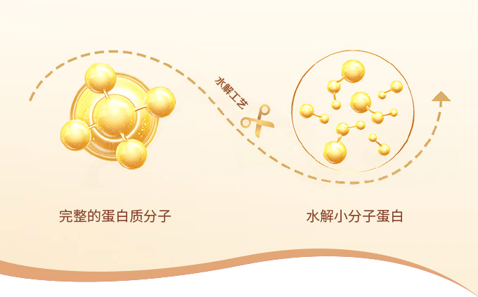 kaiyun開(kāi)云