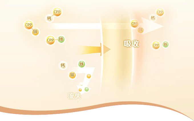 kaiyun開(kāi)云